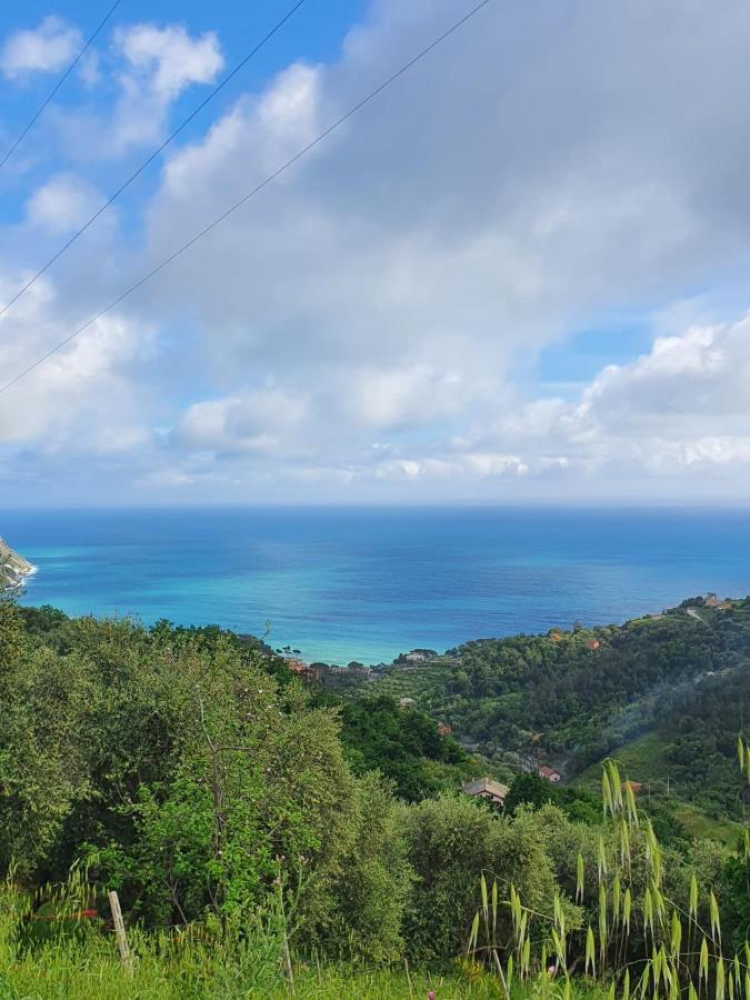 Ca Zelinda House Holiday Монелья Екстер'єр фото